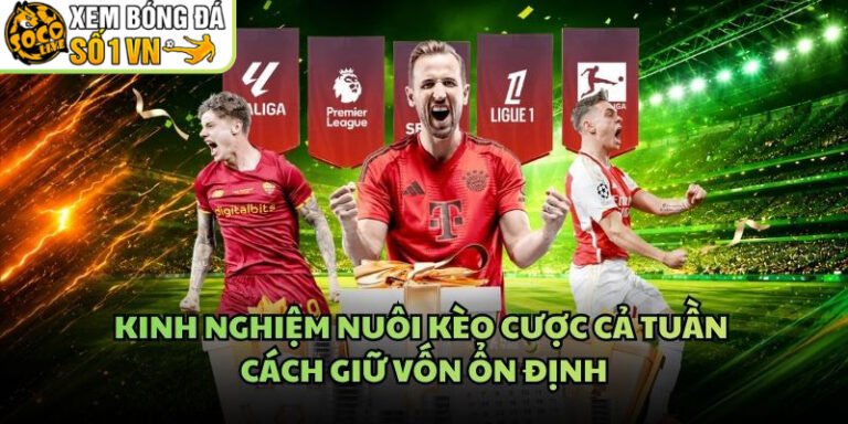 Kinh Nghiệm Nuôi Kèo Cược Cả Tuần