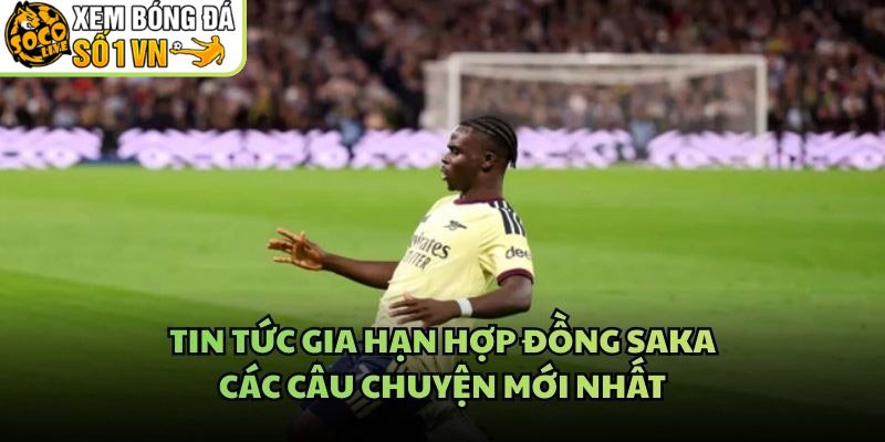 Tin Tức Gia Hạn Hợp Đồng Saka – Các Câu Chuyện Mới Nhất