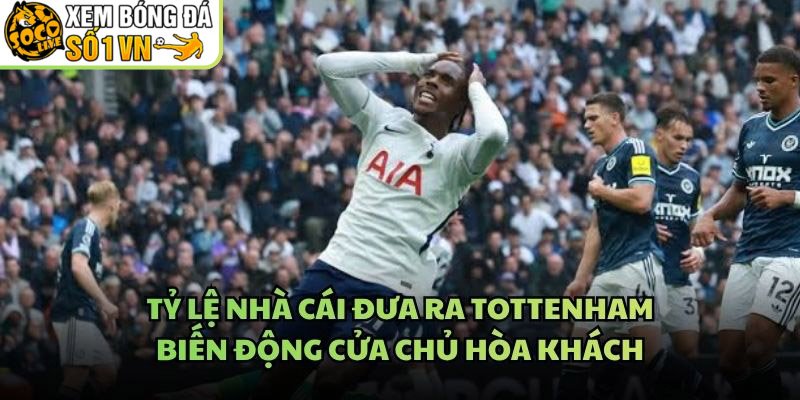Tỷ Lệ Nhà Cái Đưa Ra Tottenham – Biến Động Cửa Chủ Hòa Khách